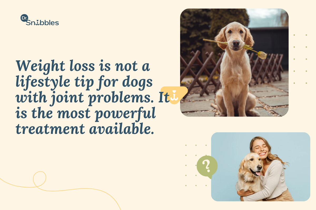 Weight loss is not a lifestyle tips for dogs with joint problems. It is the most powerful treatment available.