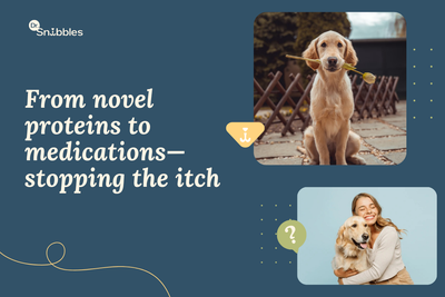 Dog allergy treatment means management, not a cure: a strict diet trial first, then supplements and a cleaner home.