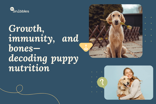 Puppy nutrition needs a growth formula for their adult size. Bigger portions don't build stronger dogs, just weaker joints.