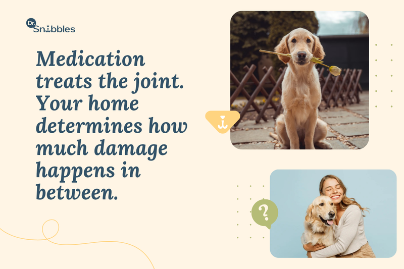 medication treats the joint. Your home determines how much damage happens in between