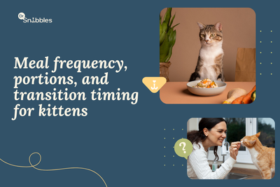 What to Feed Your Kitten for Optimal Health [2025]