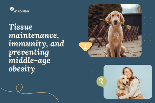 Complete Adult Dog Nutrition Guide: What Every Dog Owner Needs to Know in 2025