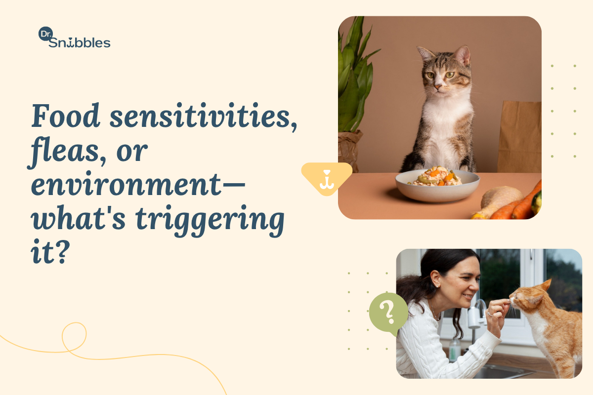 Cat allergy symptoms aren't always sneezing. Constant grooming, vomiting or recurring ear infections can point to one too.