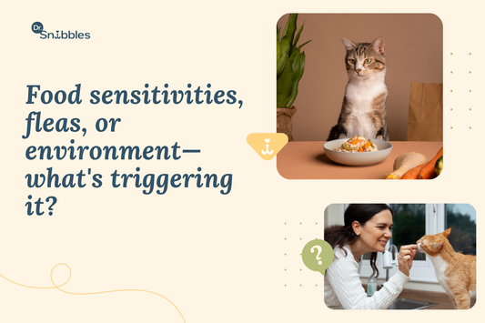 Cat allergy symptoms aren't always sneezing. Constant grooming, vomiting or recurring ear infections can point to one too.