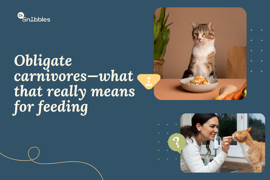 Complete Cat Nutrition Guide: Life-Stage Feeding & Breed-Specific Needs