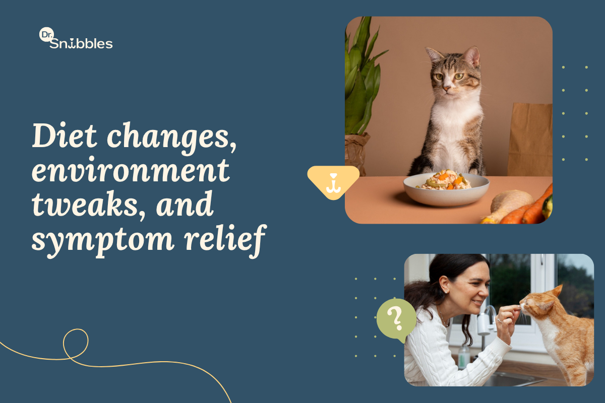 Cat allergy treatment starts with a strict 8-week elimination diet. Even one bite of the old food can undo the results.