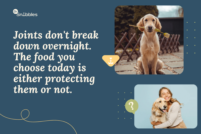 Joints don't break down overnight. The food you choose today is either protecting them or not. 