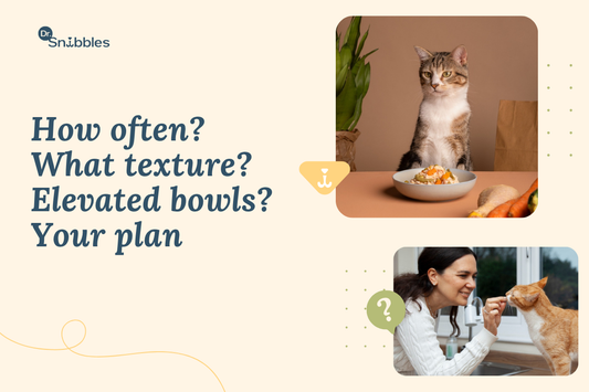Wet vs dry cat food: wet keeps adult cats hydrated and easier to portion, while dry is convenient but far more calorie dense.