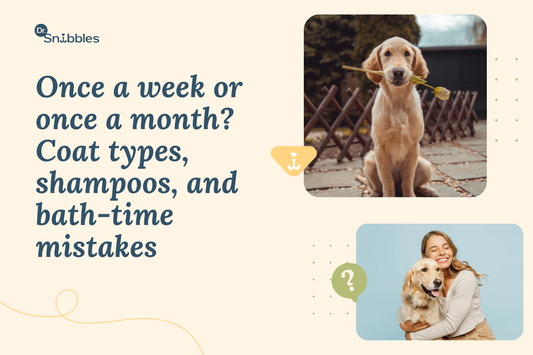 How Often Should I Bathe My Dog? A Vet-Approved Guide to Grooming for Healthy Skin