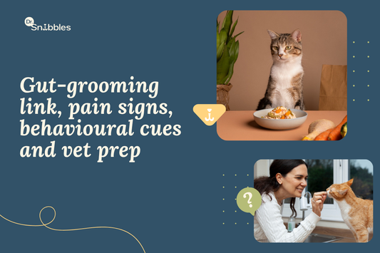 Understanding your Cat's Grooming Habits
