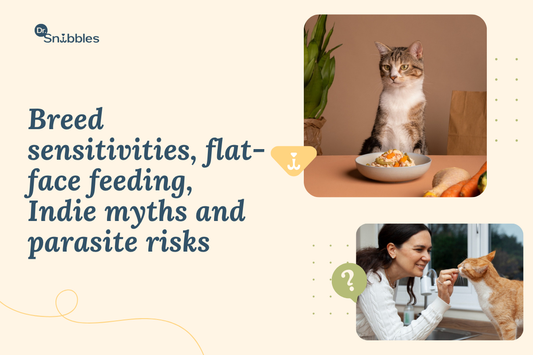 Persian vs Indie Cats: Do They Have Different Digestive Needs?