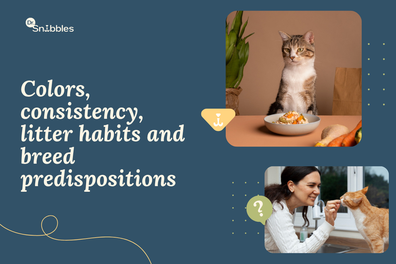 Guide to healthy cat poop: normal stool, color and texture changes, litter box habits and when to see a vet