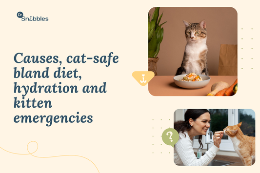 Cat Diarrhea: Causes, Home Care, and When to Call Your Vet
