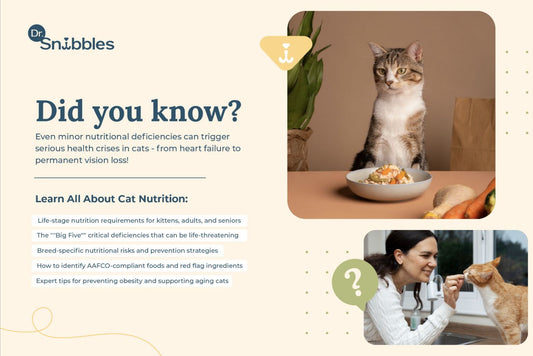 Complete Cat Nutrition Guide: Life-Stage Feeding & Breed-Specific Needs