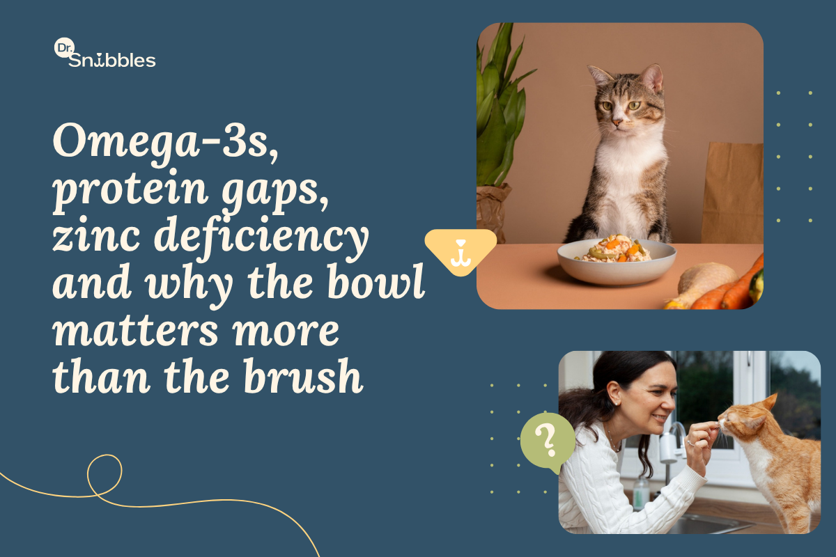 Does My Cat's Diet Affect Their Coat? Nutrition for Healthy Skin