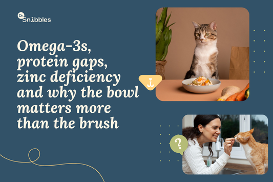 Does My Cat's Diet Affect Their Coat? Nutrition for Healthy Skin