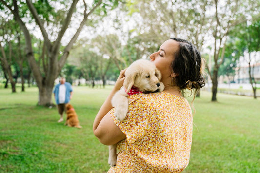 Complete Puppy Feeding Guide: How Much, When & What to Feed Your New Puppy (2025)